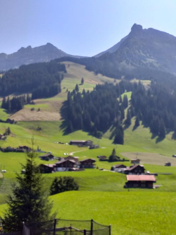 Chalet Aloa Apartman Adelboden Kültér fotó