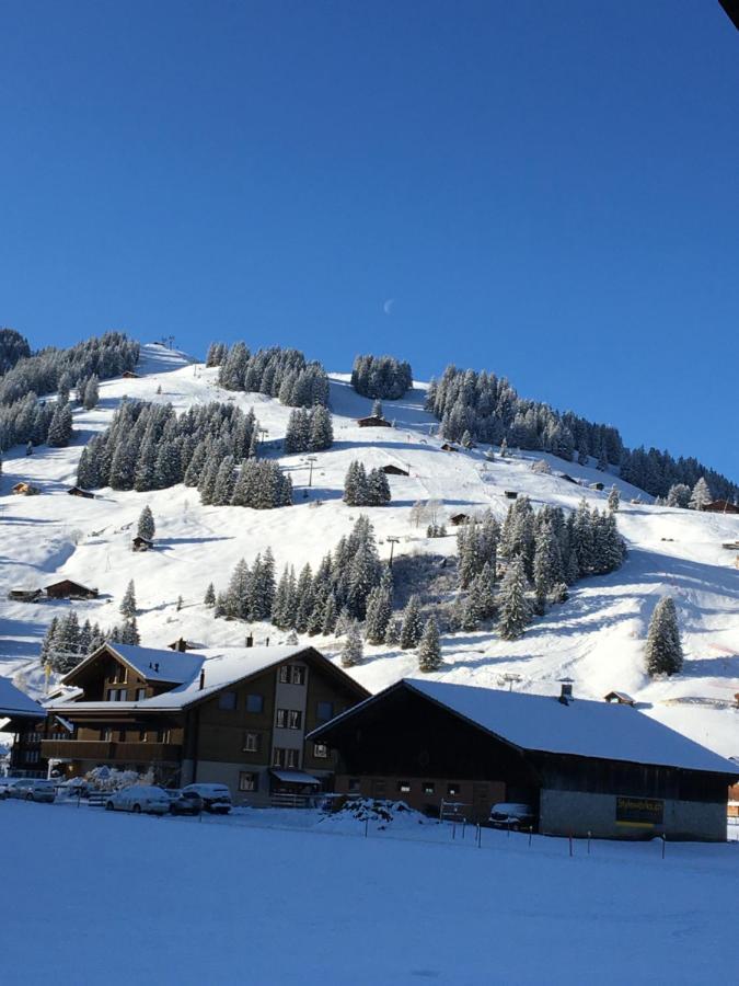 Chalet Aloa Apartman Adelboden Kültér fotó