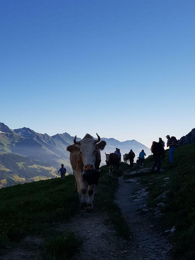 Chalet Aloa Apartman Adelboden Kültér fotó