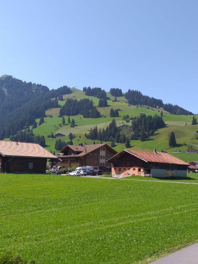 Chalet Aloa Apartman Adelboden Kültér fotó